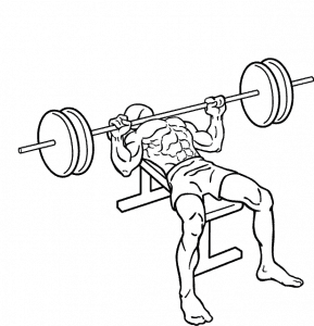 bench press