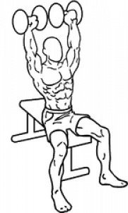 shoulder press