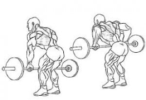 barbell row