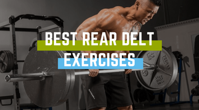 Rear Delt Exercises