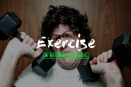 ultimate "beginners guide to exercise"