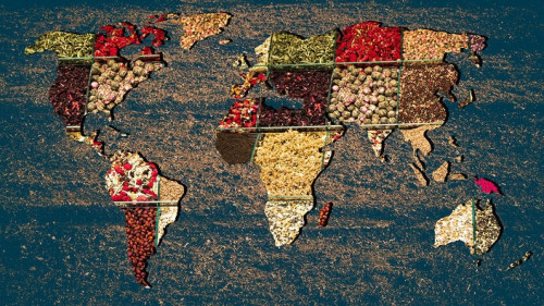 The Healthiest Diets From Around the World