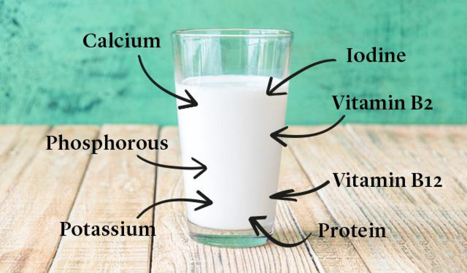 how-much-protein-is-there-in-a-pint-of-milk