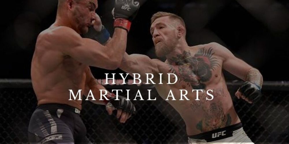 hybrid martial arts