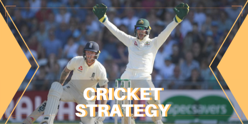 cricket strategy